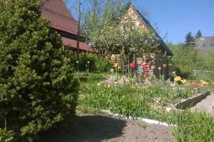 domek do wynajęcia w Zakopanem